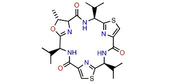 Bistratamide E